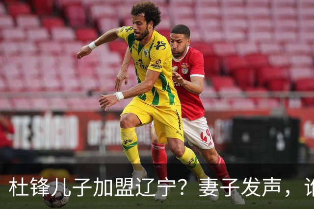 杜锋儿子加盟辽宁？妻子发声，谁注意妻子去向，计划曝光